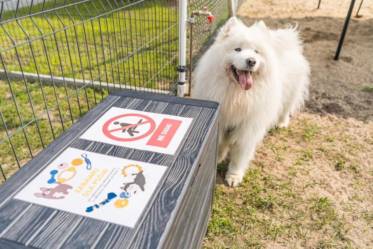 Domy Morskie Dog Friendly Jantar Buitenkant foto