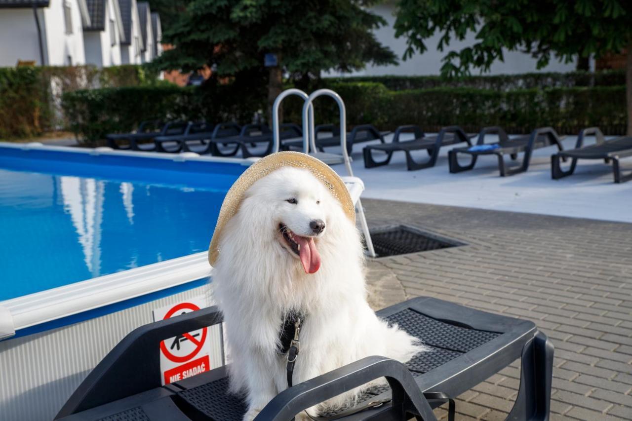 Domy Morskie Dog Friendly Jantar Buitenkant foto