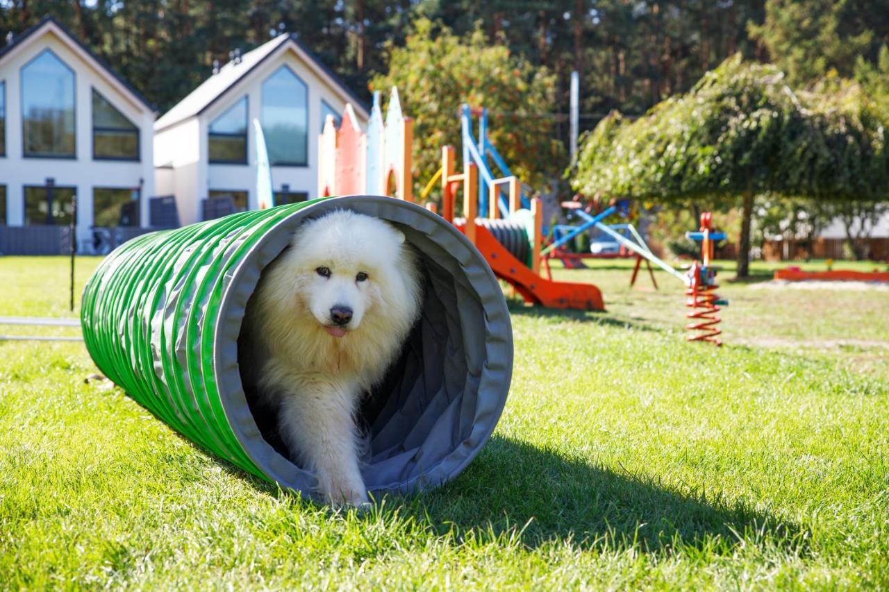 Domy Morskie Dog Friendly Jantar Buitenkant foto
